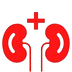 Nephrology