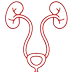 Urology